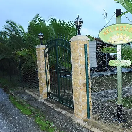 Heliactida House *