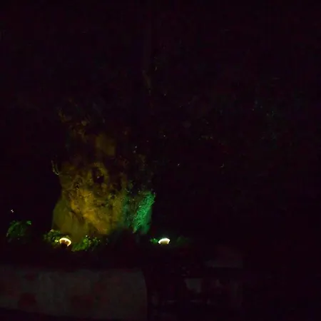 Heliactida House בית נופש אורמוס פנגיאס