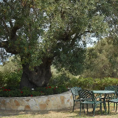 Heliactida House בית נופש