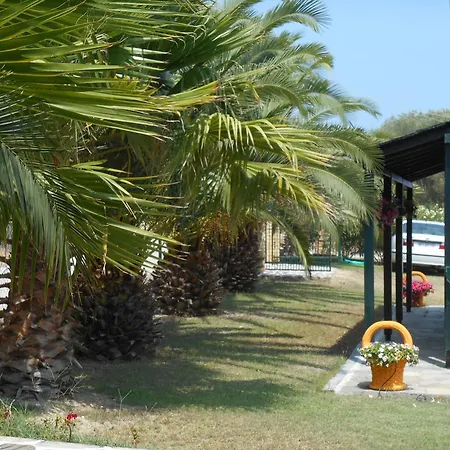 Heliactida House *